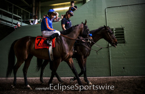 Game On Dude